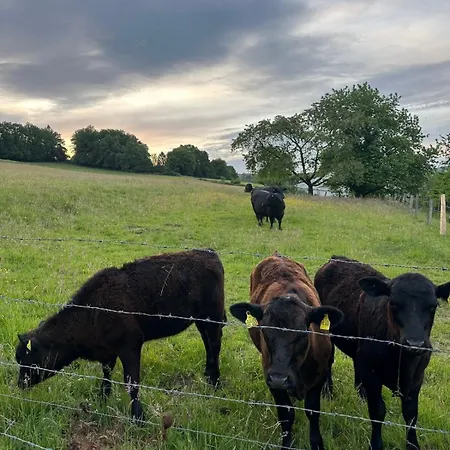 Gemuetliche Direkt Am Wald * Arnsberg