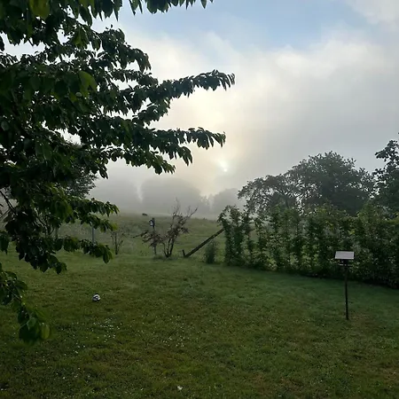 Traumwohnung Gemuetlich Und Direkt Am Wald *
