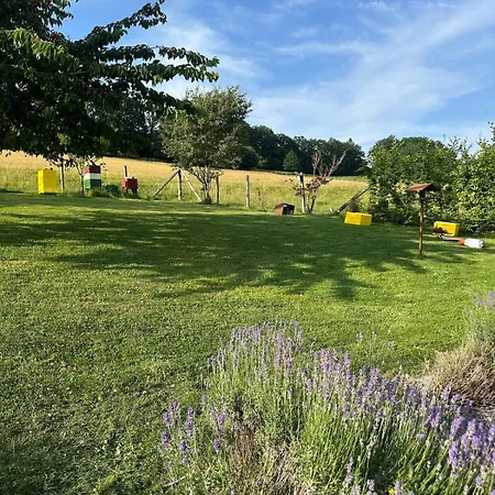 Traumwohnung Gemuetlich Und Direkt Am Wald *