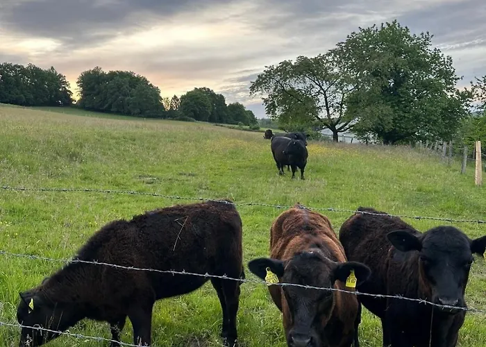 Gemuetliche Direkt Am Wald * Arnsberg